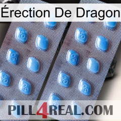Érection De Dragon viagra4